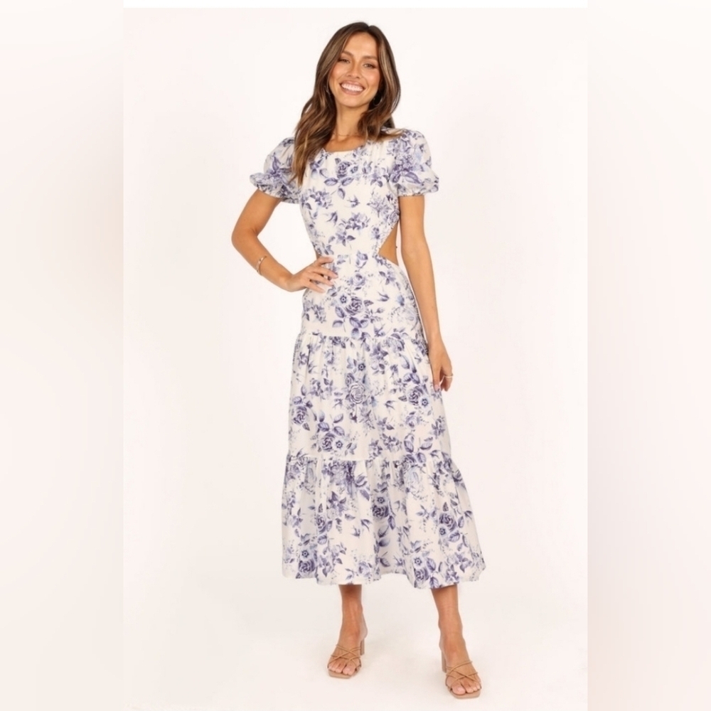 Petal + Pup | Blue Floral Open Back Maxi Dress Size 4